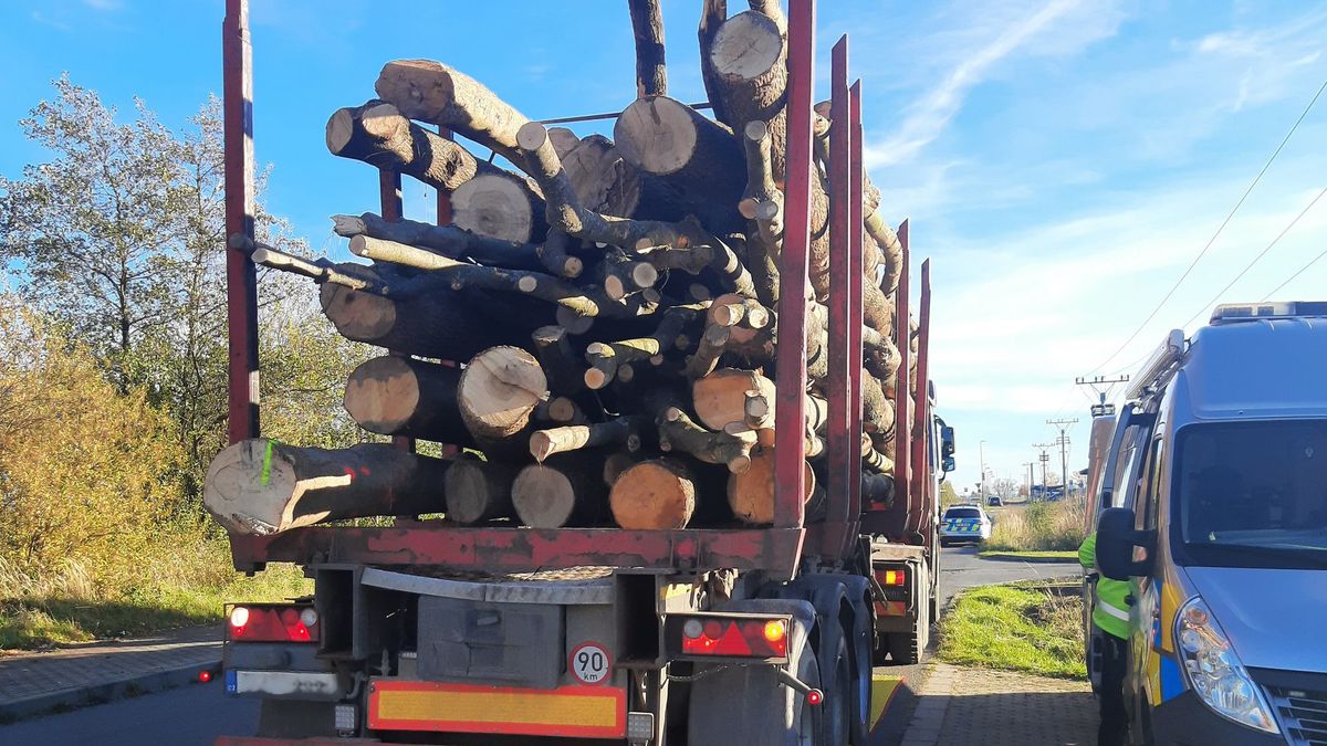 Řidič kamionu se dřevem se v Krnově vydával za příbuzného, řídil bez dokladů